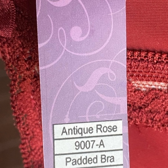 😍2/$20 NWT Alegro Lingerie Sz 36D Antique Rose Padded Bra - Picture 7 of 10